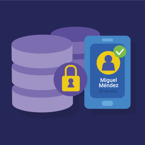 Verificación segura